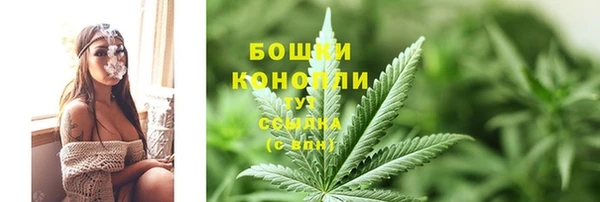 сатива Магас